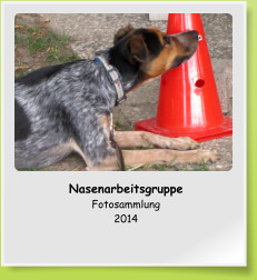 Nasenarbeitsgruppe Fotosammlung 2014