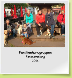 Familienhundgruppen Fotosammlung 2016