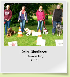 Rally Obedience Fotosammlung 2016