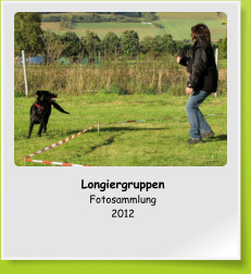 Longiergruppen Fotosammlung 2012