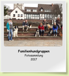 Familienhundgruppen Fotosammlung 2017