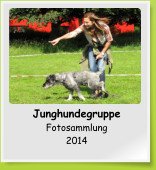 Junghundegruppe Fotosammlung 2014