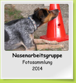 Nasenarbeitsgruppe Fotosammlung 2014