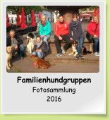 Familienhundgruppen Fotosammlung 2016
