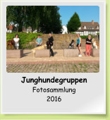 Junghundegruppen Fotosammlung 2016