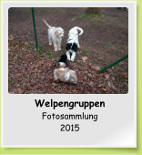 Welpengruppen Fotosammlung 2015